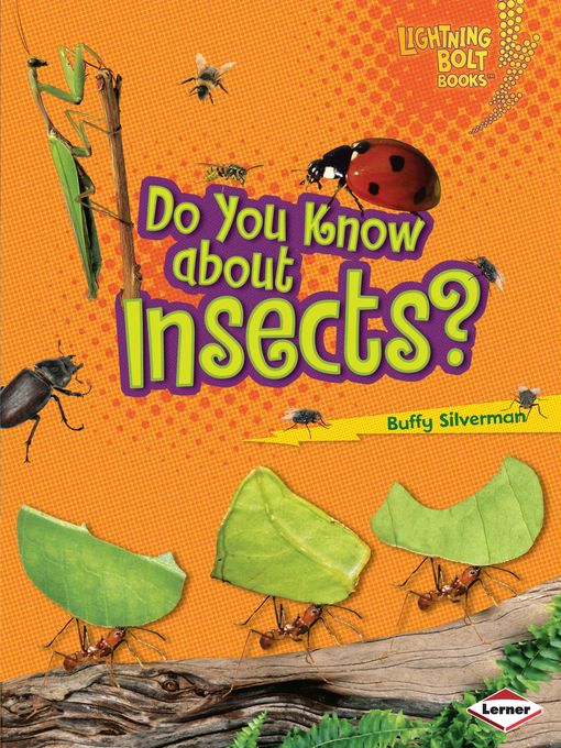 Title details for Do You Know about Insects? by Buffy Silverman - Available